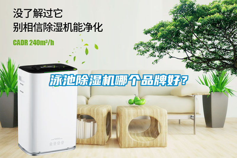 泳池除濕機哪個品牌好？