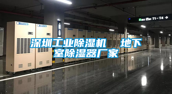 深圳工業除濕機  地下室除濕器廠家