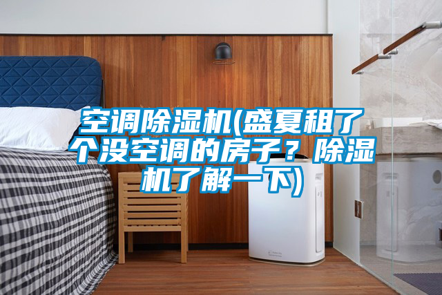 空調除濕機(盛夏租了個沒空調的房子？除濕機了解一下)