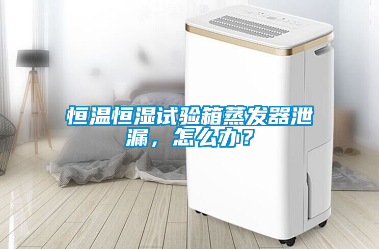 恒溫恒濕試驗箱蒸發器泄漏，怎么辦？