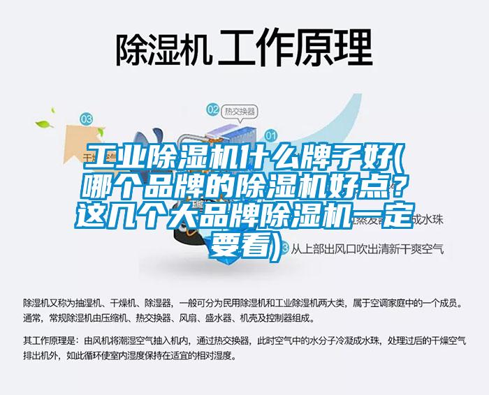 工業除濕機什么牌子好(哪個品牌的除濕機好點？這幾個大品牌除濕機一定要看)