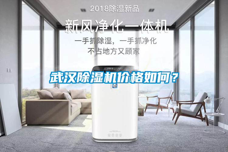 武漢除濕機價格如何？