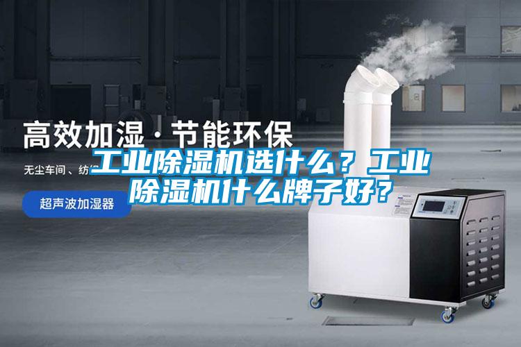 工業除濕機選什么？工業除濕機什么牌子好？