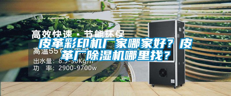 皮革彩印機廠家哪家好？皮革廠除濕機哪里找？