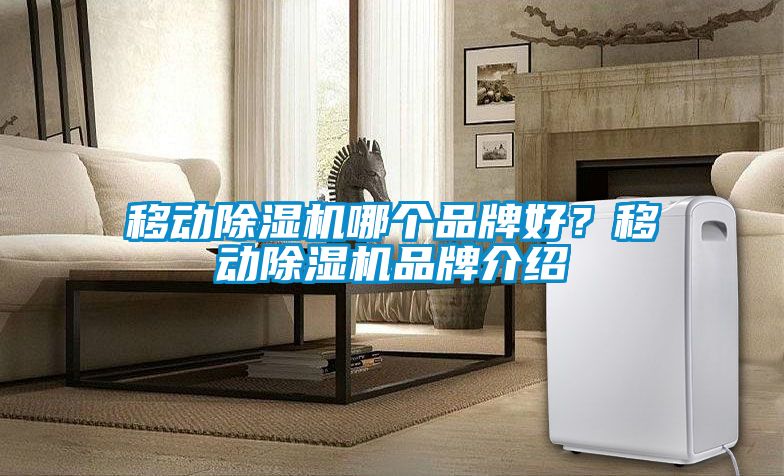 移動除濕機哪個品牌好？移動除濕機品牌介紹