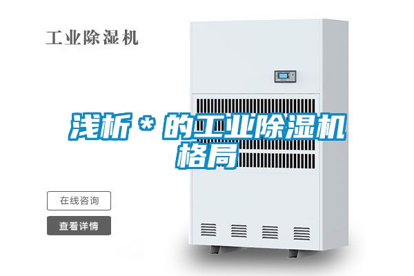 淺析＊的工業除濕機格局