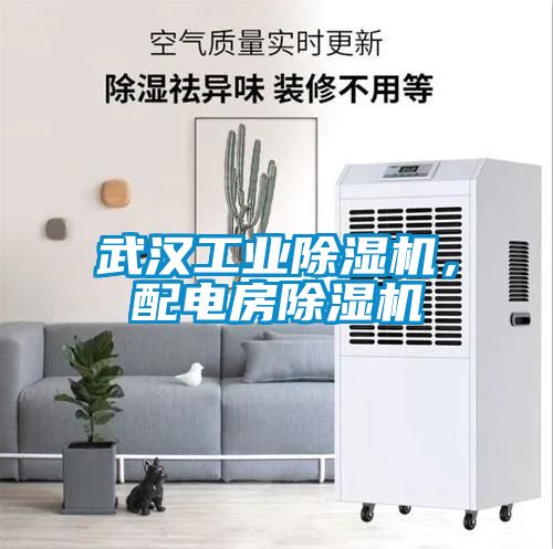 武漢工業除濕機，配電房除濕機
