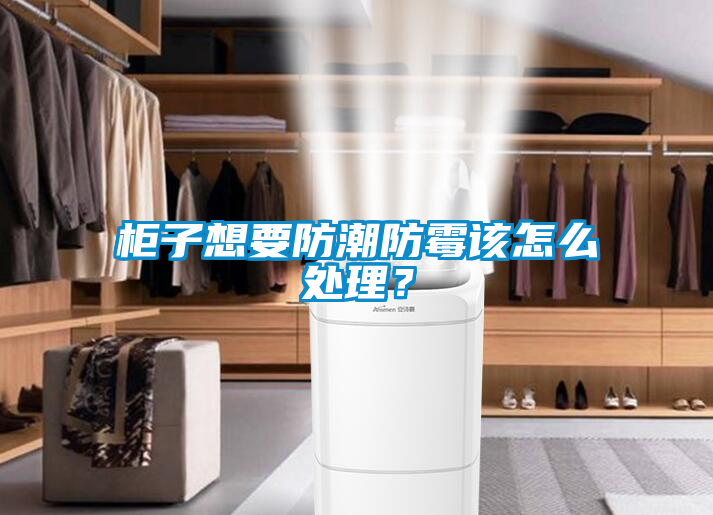 柜子想要防潮防霉該怎么處理？