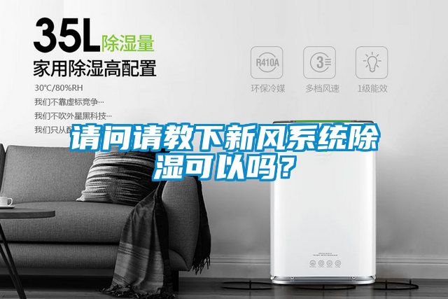 請問請教下新風系統除濕可以嗎？