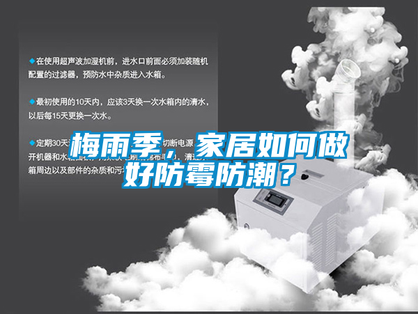 梅雨季，家居如何做好防霉防潮？