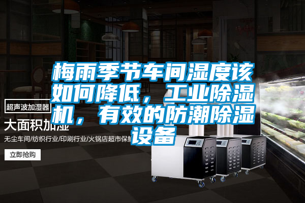 梅雨季節車間濕度該如何降低，工業除濕機，有效的防潮除濕設備