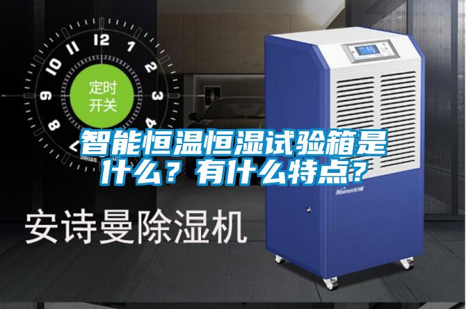 智能恒溫恒濕試驗箱是什么？有什么特點？