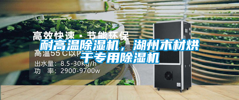 耐高溫除濕機，湖州木材烘干專用除濕機