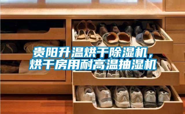 貴陽升溫烘干除濕機，烘干房用耐高溫抽濕機