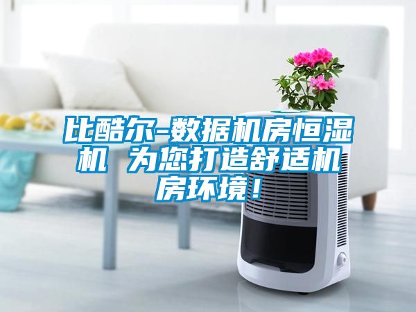 比酷爾-數據機房恒濕機 為您打造舒適機房環境！