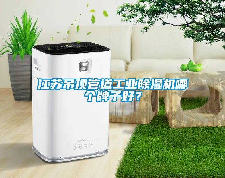 江蘇吊頂管道工業除濕機哪個牌子好？