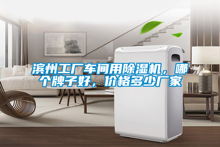 濱州工廠車間用除濕機，哪個牌子好，價格多少廠家