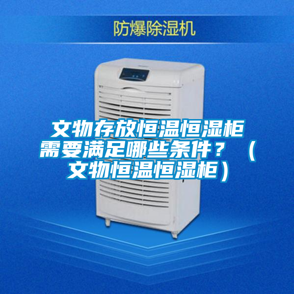 文物存放恒溫恒濕柜需要滿足哪些條件？（文物恒溫恒濕柜）