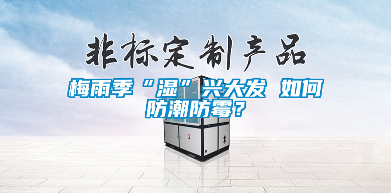 梅雨季“濕”興大發 如何防潮防霉？
