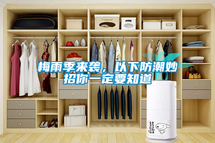 梅雨季來襲，以下防潮妙招你一定要知道