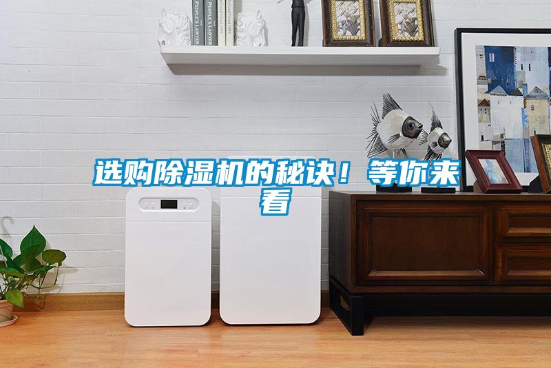 選購除濕機的秘訣！等你來看