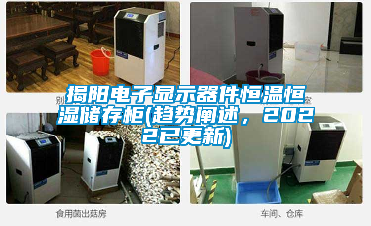 揭陽電子顯示器件恒溫恒濕儲存柜(趨勢闡述，2022已更新)