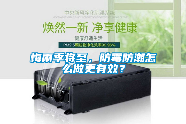 梅雨季將至，防霉防潮怎么做更有效？