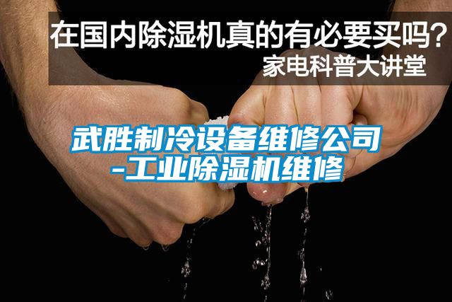 武勝制冷設備維修公司-工業除濕機維修