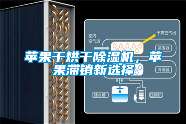 蘋果干烘干除濕機，蘋果滯銷新選擇