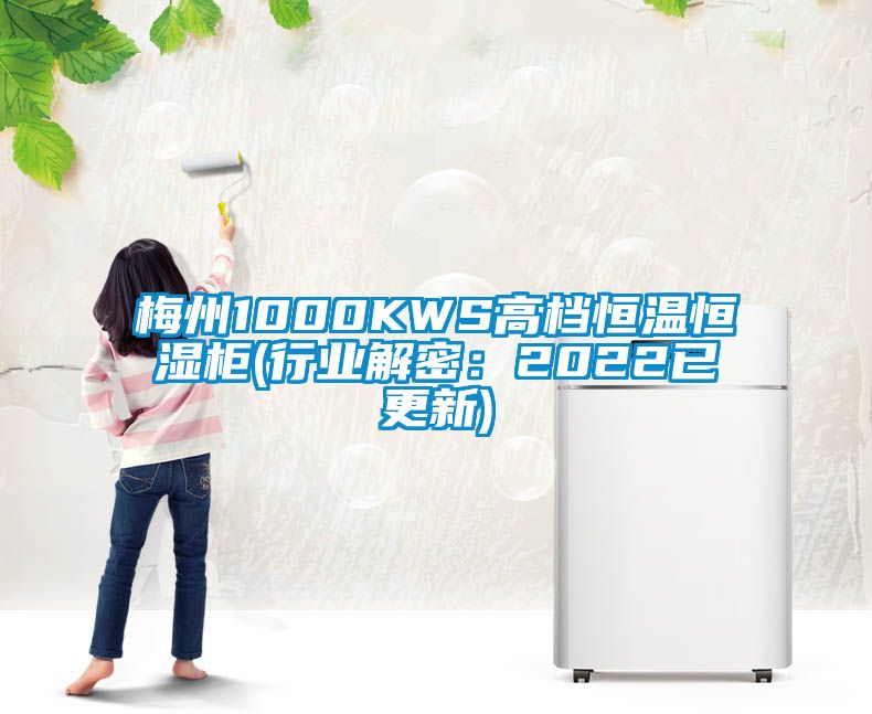 梅州1000KWS高檔恒溫恒濕柜(行業解密：2022已更新)