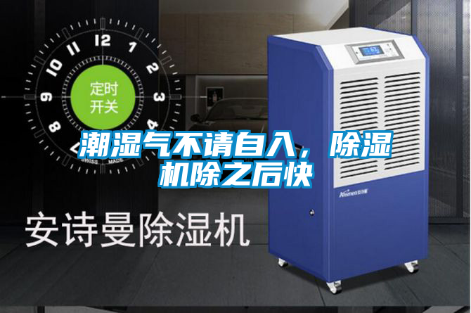 潮濕氣不請自入，除濕機除之后快
