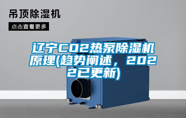 遼寧CO2熱泵除濕機原理(趨勢闡述，2022已更新)