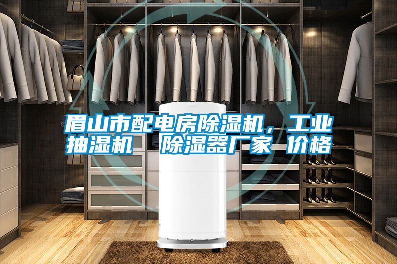 眉山市配電房除濕機，工業抽濕機  除濕器廠家 價格