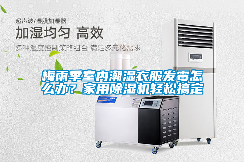 梅雨季室內潮濕衣服發霉怎么辦？家用除濕機輕松搞定