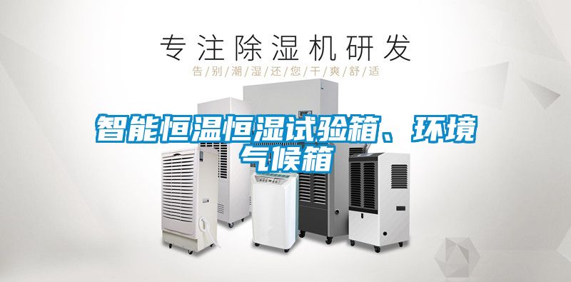 智能恒溫恒濕試驗箱、環境氣候箱