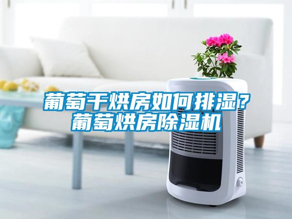 葡萄干烘房如何排濕？葡萄烘房除濕機