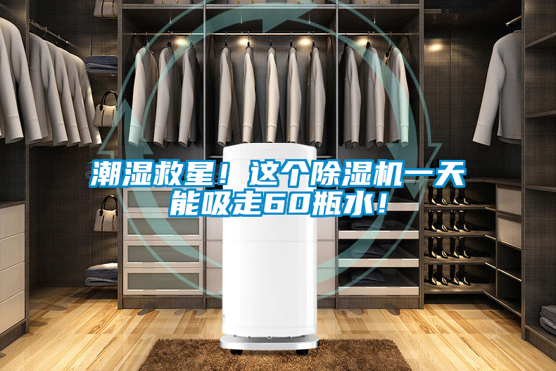 潮濕救星！這個除濕機一天能吸走60瓶水！
