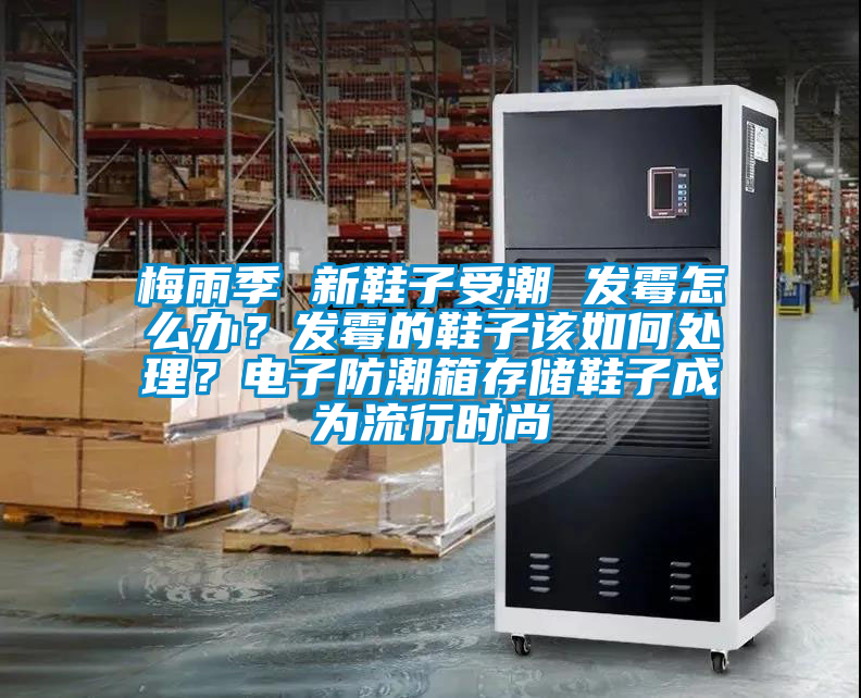 梅雨季 新鞋子受潮 發霉怎么辦？發霉的鞋子該如何處理？電子防潮箱存儲鞋子成為流行時尚