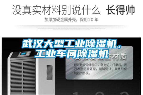 武漢大型工業除濕機，工業車間除濕機