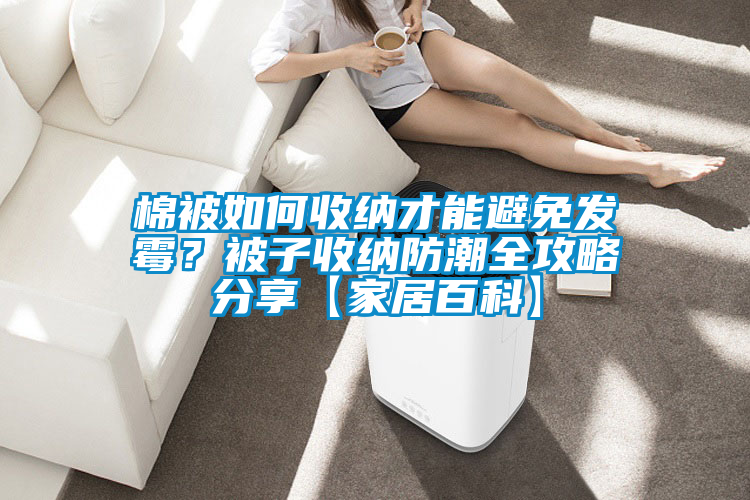 棉被如何收納才能避免發霉？被子收納防潮全攻略分享【家居百科】