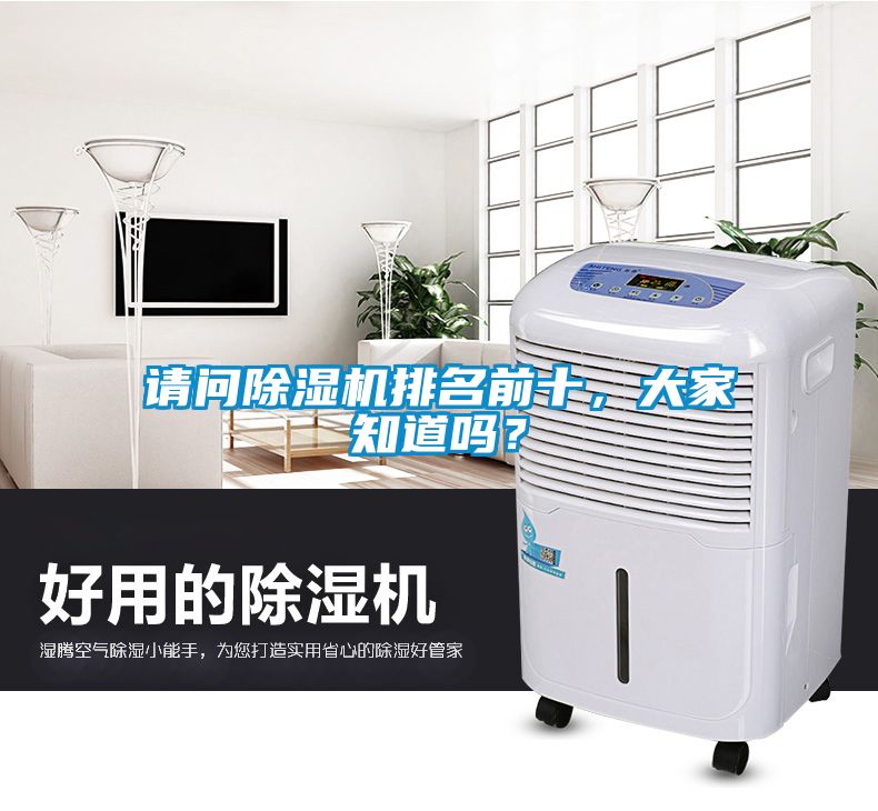 請問除濕機排名前十，大家知道嗎？