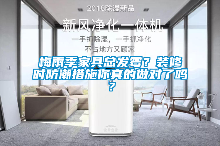 梅雨季家具總發霉？裝修時防潮措施你真的做對了嗎？
