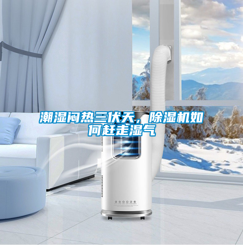 潮濕悶熱三伏天，除濕機如何趕走濕氣