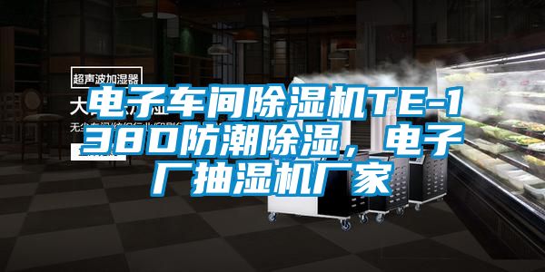 電子車間除濕機TE-138D防潮除濕，電子廠抽濕機廠家
