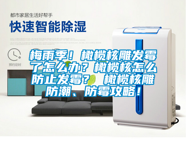 梅雨季！橄欖核雕發霉了怎么辦？橄欖核怎么防止發霉？ 橄欖核雕防潮、防霉攻略！