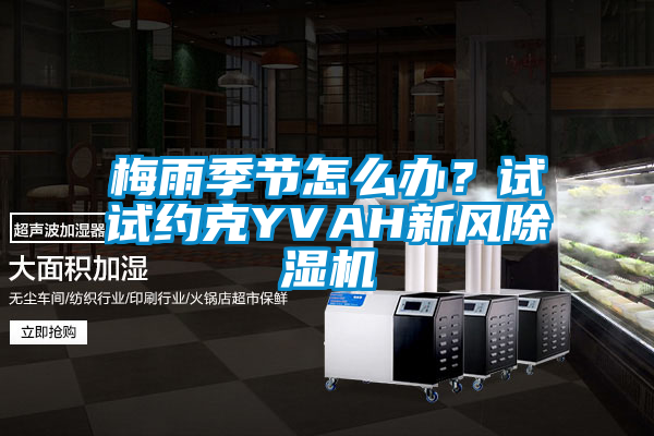 梅雨季節怎么辦？試試約克YVAH新風除濕機