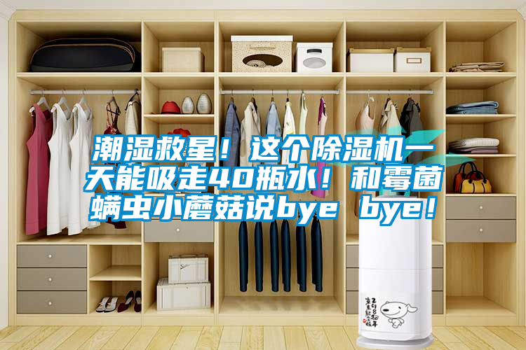 潮濕救星！這個除濕機一天能吸走40瓶水！和霉菌螨蟲小蘑菇說bye bye！