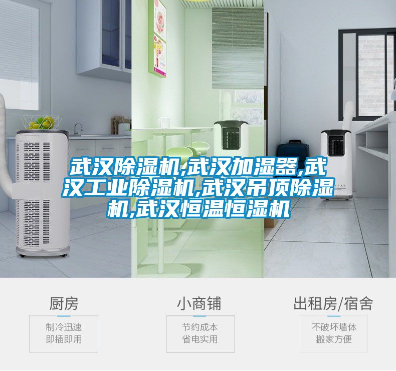 武漢除濕機,武漢加濕器,武漢工業除濕機,武漢吊頂除濕機,武漢恒溫恒濕機