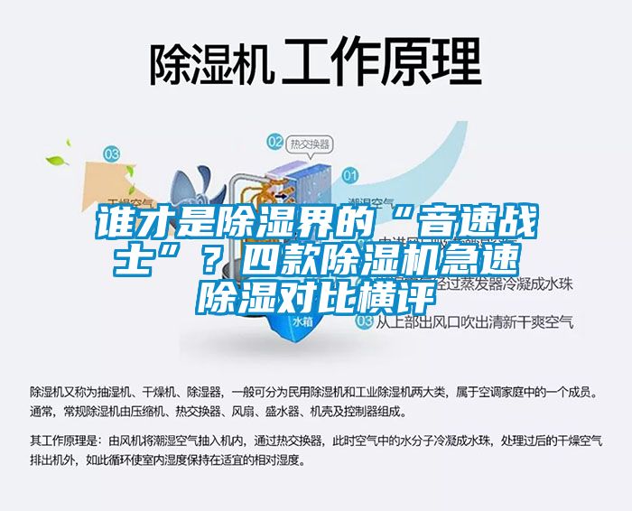 誰才是除濕界的“音速戰士”？四款除濕機急速除濕對比橫評