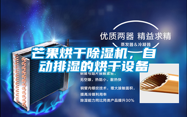 芒果烘干除濕機，自動排濕的烘干設備